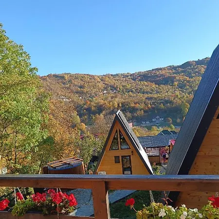 Apartment Tip A Carpatina Runcu/ Sinaia Runcu (Dambovita)